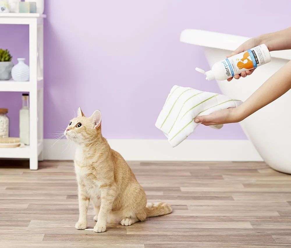 國(guó)內(nèi)外巨頭相繼入局，寵物洗護(hù)品成為新的掘金賽道？