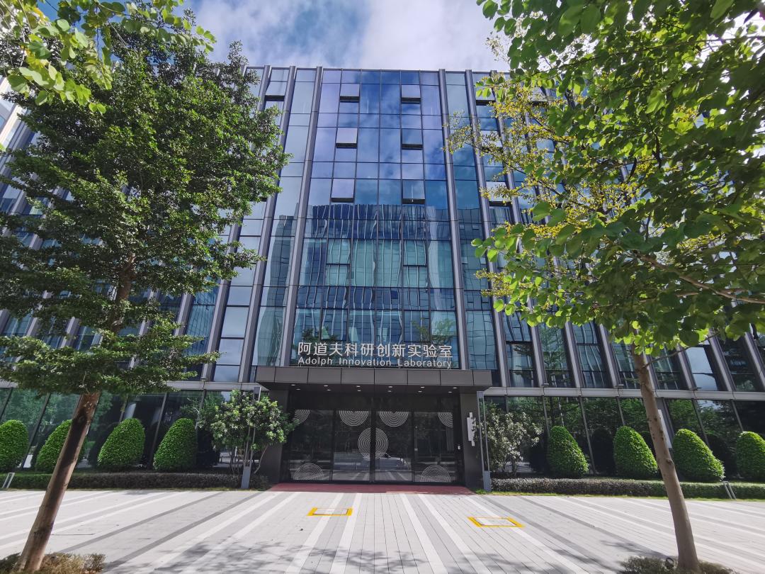 這個618，阿道夫為何讓人心動？